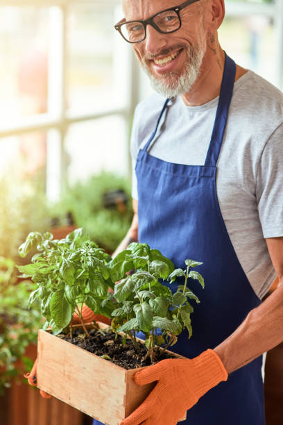 istock Happy middle aged caucasian man holding box with herbs 1281504378