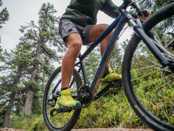 istock Mountain biker on flow trail, Switzerland 1281505598