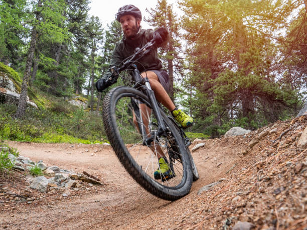 istock Mountain biker on flow trail, Switzerland 1281506043