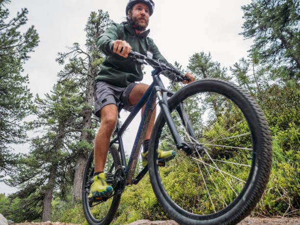 istock Mountain biker on flow trail, Switzerland 1281506290