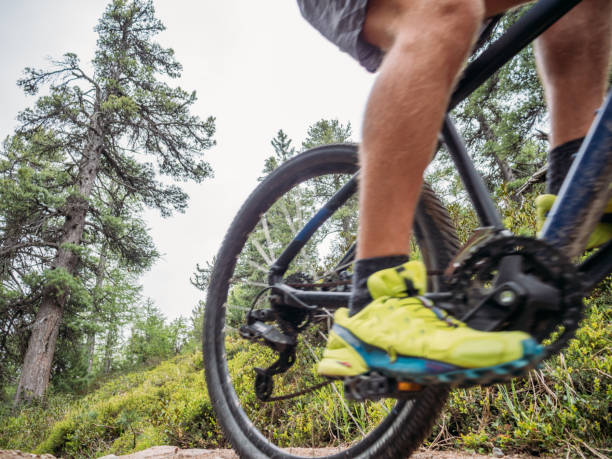 istock Low angle view of mountain biker on flow trail, Switzerland 1281507162