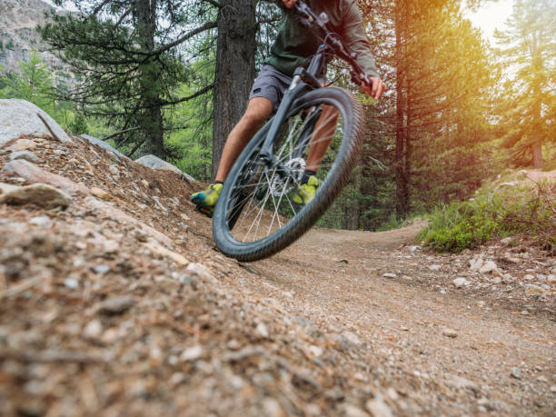 istock Low angle view of mountain biker on flow trail, Switzerland 1281507361