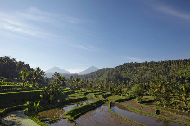 istock Agung volcano on the sunrise 1281508475