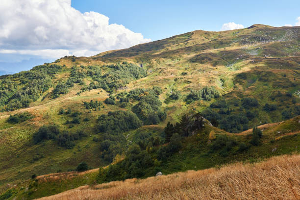 istock view from the autumn mountain slope with glades, copses and cloud shadows 1281508756