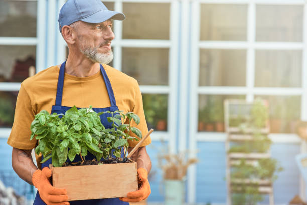 istock Middle aged caucasian man holding wooden pot 1281508840