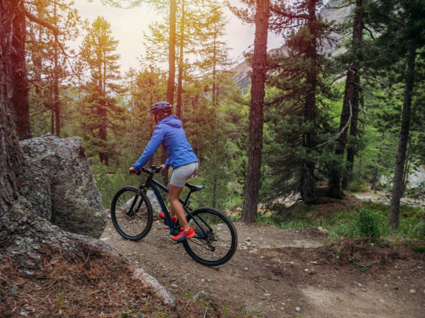 istock Mountain biker on flow trail, Switzerland 1281509143