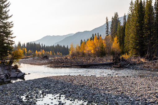 Color de otoño en Montana Creek photo