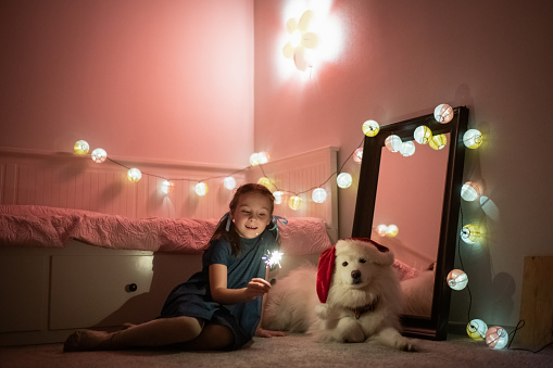 Little girl putting Santa hat on her dog indoors near mirror