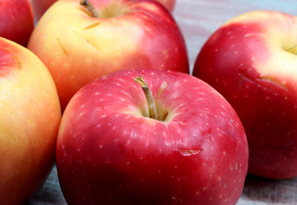 istock close-up organic and fresh apple 1281511512