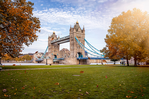 Beautiful view to the Tower Bridge of London, United Kingdom, with golden sunshine and colorful leafs on the trees during autumn time
