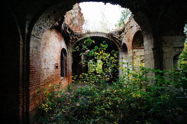 istock Old ancient abandoned red brick ruins overgrown by plants 1281514256