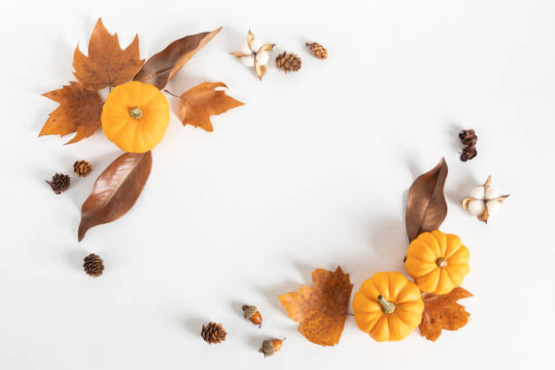 istock Autumn flat lay composition. Pumpkins, dried leaves and nuts. Autumn, fall concept. Mockup, top view, copy space 1281515368