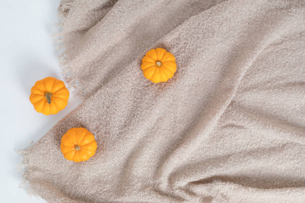 istock Autumn flat lay composition. Pumpkins, dried leaves, plaid. Autumn, fall concept. Mockup, top view, copy space 1281515372