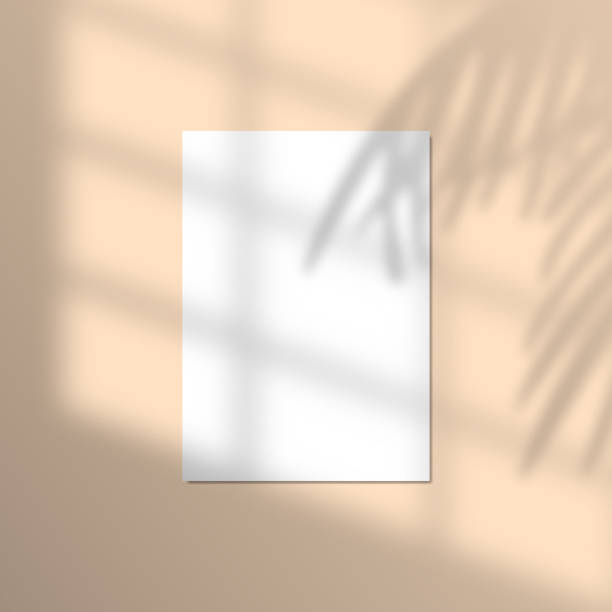 ilustrações de stock, clip art, desenhos animados e ícones de vector illustration of a4 paper mockup with realistic tropical shadow overlay effect. blurred transparent soft light shadow from window and palm leaves with paper sheet for product presentation - papel parede