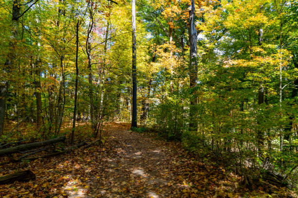 istock Bronte Creek Provincial Park in Autumn, Oakville, Canada 1281519210