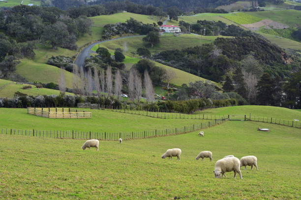 istock Scandrett Regional Park Scenery 1281519290