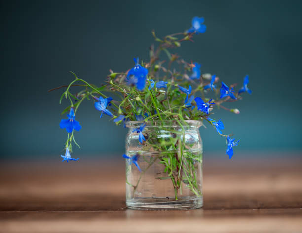 Close up of a flower floating, selective focus