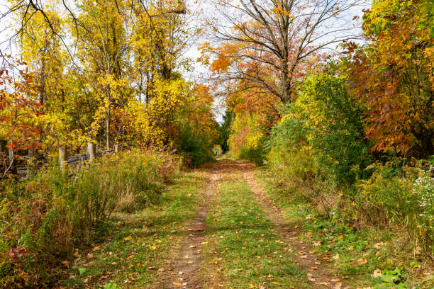 istock Bronte Creek Provincial Park in Autumn, Oakville, Canada 1281521856