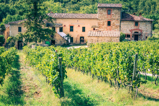 토스카나의 농가 - tuscany italy house landscape 뉴스 사진 이미지