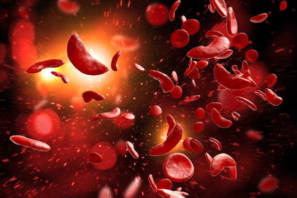 鎌状赤血球貧血3d図 - human blood vessel human cardiovascular system cell blood cell ストックフォトと画像