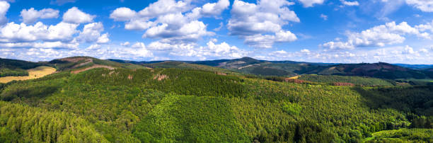 istock a green forest hill landscape as a high definition panorama 1281525331