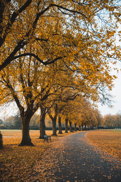 istock Fall Autumn Colors In The Park 1281527231