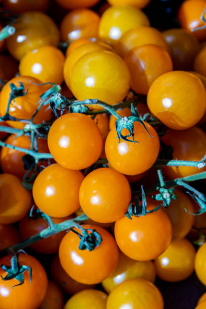 istock An Abundance of Tomatoes 1281530752