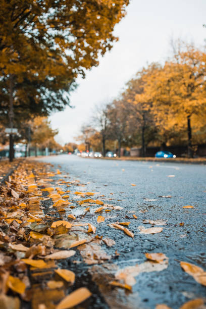 istock Fall Autumn Colors In The Park 1281532112