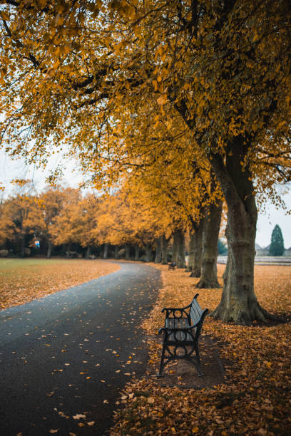 istock Fall Autumn Colors In The Park 1281532671