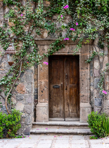 istock door with a creeper with pink flowers 1281537031