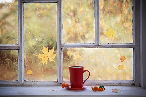 cup of tea on white wooden windowsill in autumn