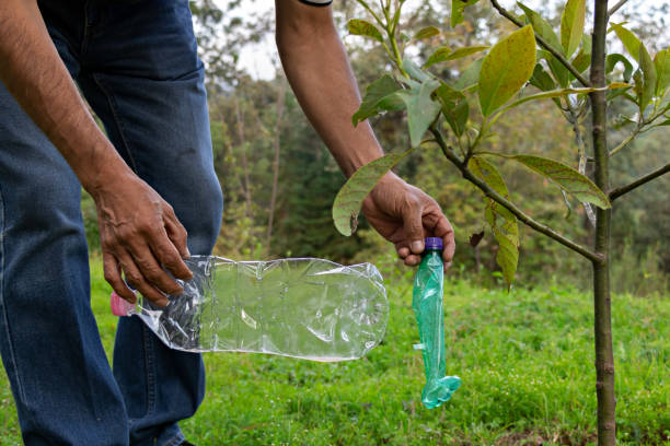 istock hands of a man picking up a plastic bottle in a forest for recycling 1281538381