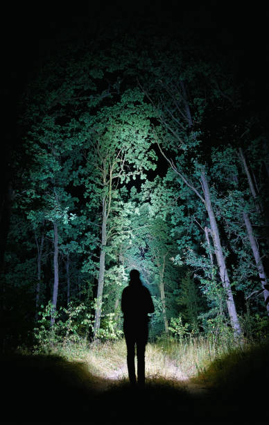 istock Man with a lantern on the background of the night forest 1281540892
