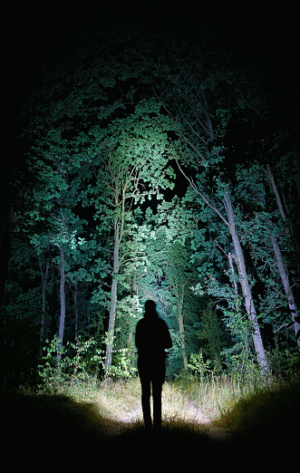 Man with a lantern on the background of the night forest