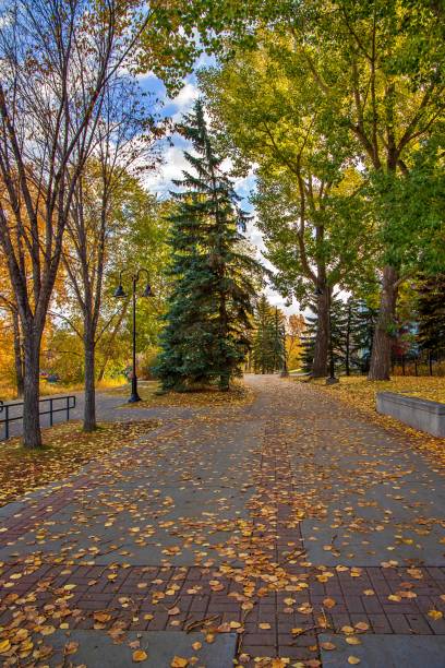 istock Scenic Road Through An Autumn Park 1281542165