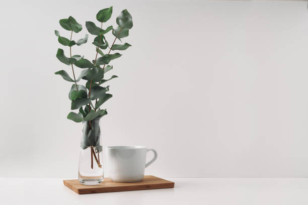 istock White cup and eucalyptus in a transparent glass vase on a blackboard, cork background. Mock up, copy space. Folk. 1281543830
