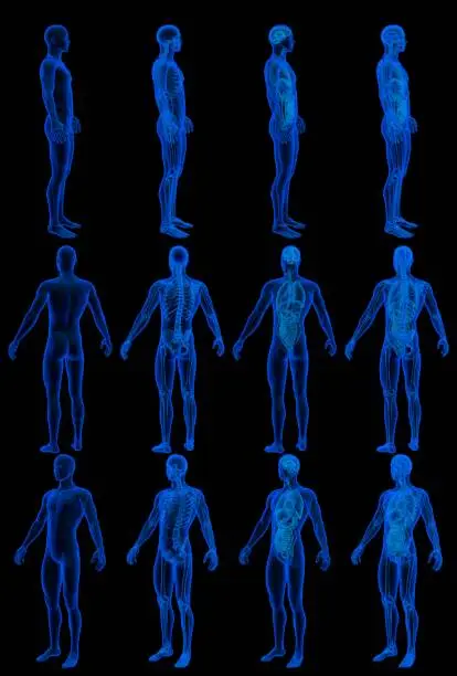 Photo of 12 detailed holographic xray renders in 1 image, man body with skeleton and organs - traumatology research concept - digital medical 3D illustration isolated on black