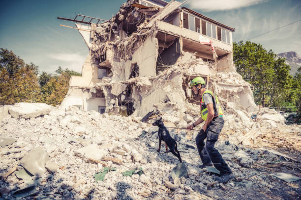 istock Rescuer search with help of rescue dog 1281549021