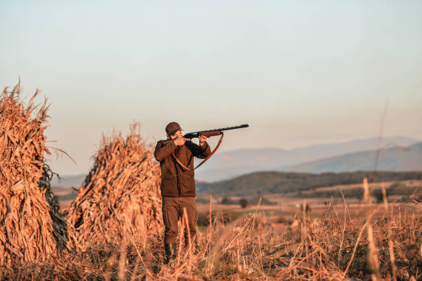 istock A hunter with a gun. Autumn hunting. Huntsman. 1281552663