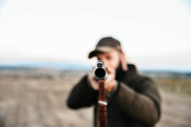 autumn hunting - hunting pheasant duck hunting bird imagens e fotografias de stock