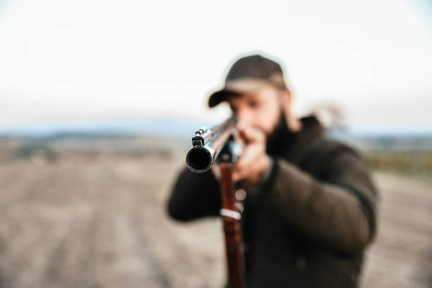 autumn hunting - hunting pheasant duck hunting bird imagens e fotografias de stock