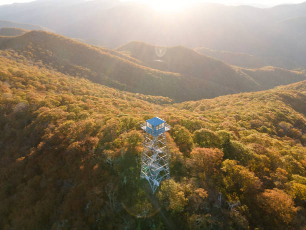 ora d'oro alla frying pan lookout tower sulla blue ridge parkway in autunno - blue ridge mountains autumn great smoky mountains tree foto e immagini stock