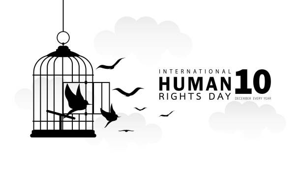 Human Rights Day concept. International peace. December 10, every year. Bird's silhouette is flying out of the cage, design on the sky background. Black and white. Cartoon style. Vector illustration. Human Rights Day concept. International peace. December 10, every year. Bird's silhouette is flying out of the cage, design on the sky background. Black and white. Cartoon style. Vector illustration. cage stock illustrations