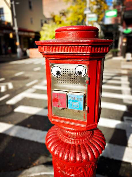 Emergency Talk Box that Looks Like a Face
