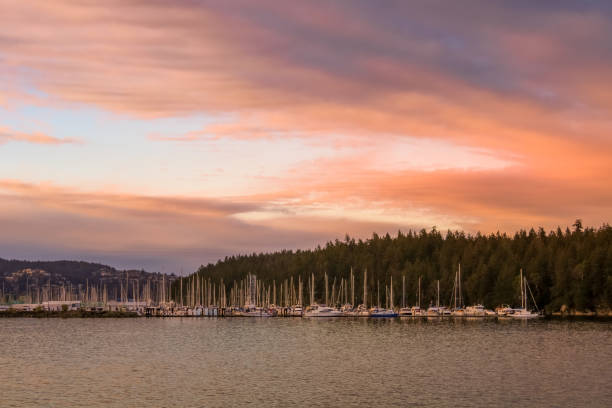 istock Boat harbor marina at sunset 1281559008