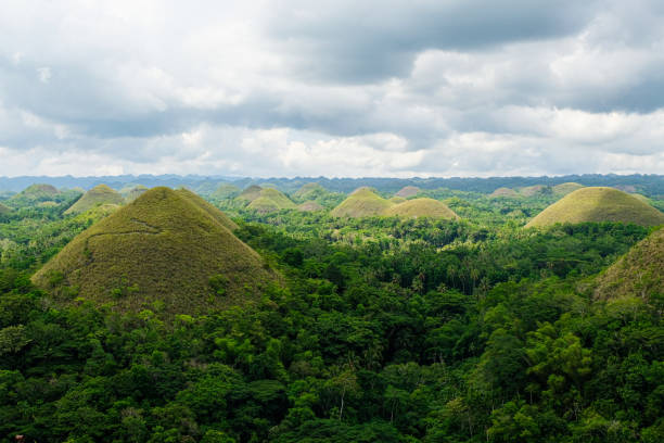 The nature of the forest is rich in nature. Chocolate Hill Bohol Hill The nature of the forest is rich in nature. Chocolate Hill Bohol Hill chocolate hills photos stock pictures, royalty-free photos & images