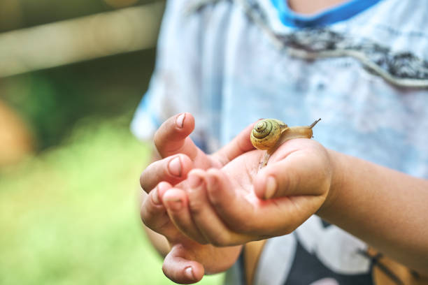 Little boy observing small green snail crawling on hand while exploring nature in summertime