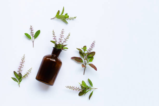 istock Fresh holy basil leaves and flower with essential oil bottle on white 1281567936