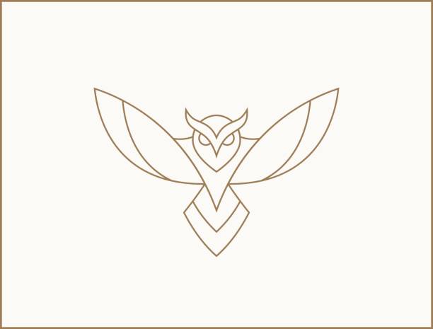 illustrations, cliparts, dessins animés et icônes de illustration minimale moderne de hibou. logotype de hibou linéaire. - owl