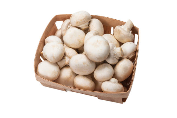 istock Champignon mushroom isolated on white background. 1281580567